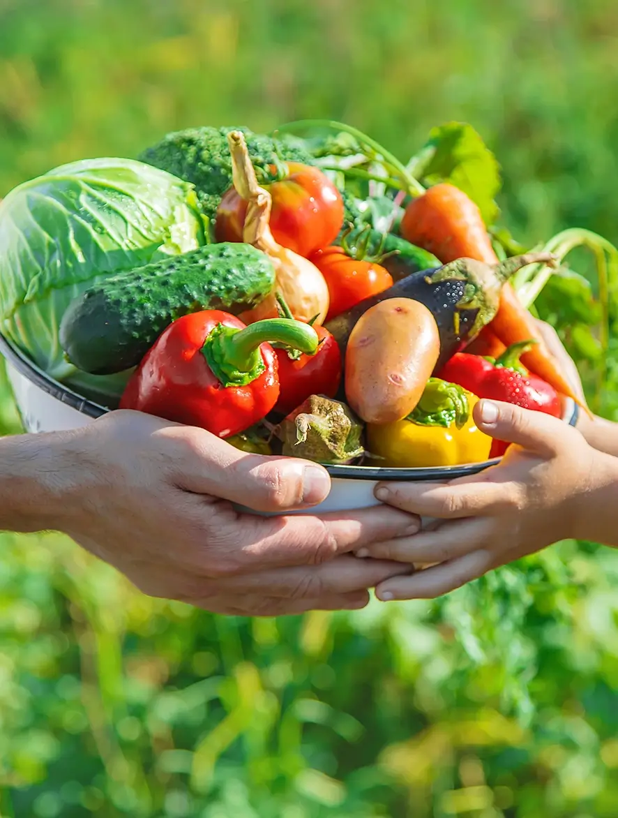 An adult man handing over a basket of vegetables to a child. Only their hands are visible