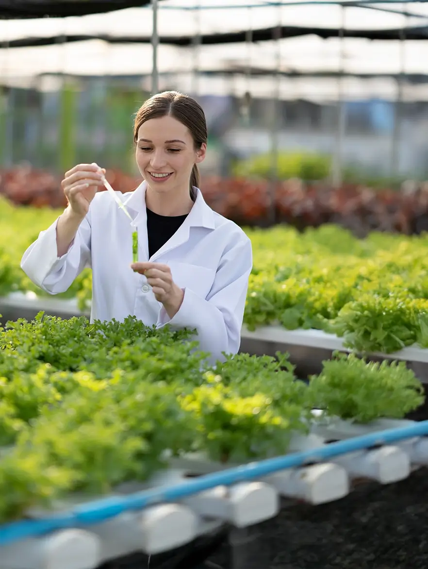 Woman in a lab coat taking a sample of a leafy vegetable and testing it using a syringe
